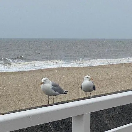 Appartement Haus-rina-eg *