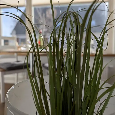 Appartement Haus-rina-eg Sylt